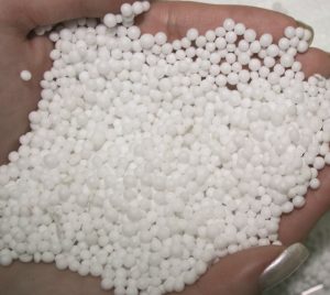 Perlas
